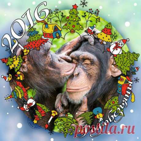 Частушки на Новый год Обезьяны 2016 шуточные, прикольные, | Стихи дари на праздник