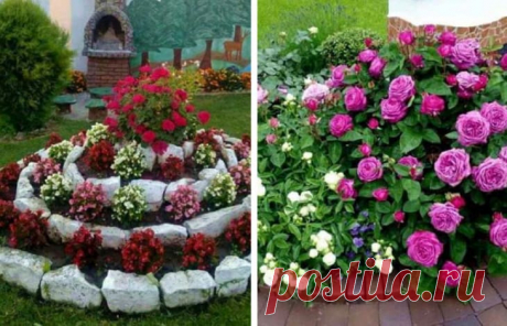 Клумбы для дачи: 60 простых вариантов