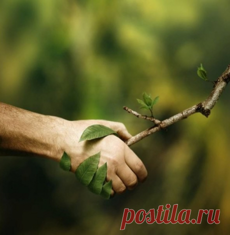 На душе и радость, и покой,