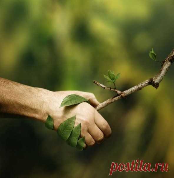 На душе и радость, и покой,