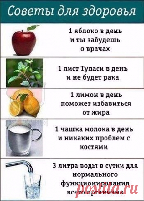 » Блог Архив » Стимулятор роста для цветов