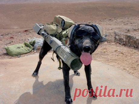 В поход.