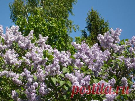 Сергей Кавецкий
60 лет, Россия, г. Лихославль