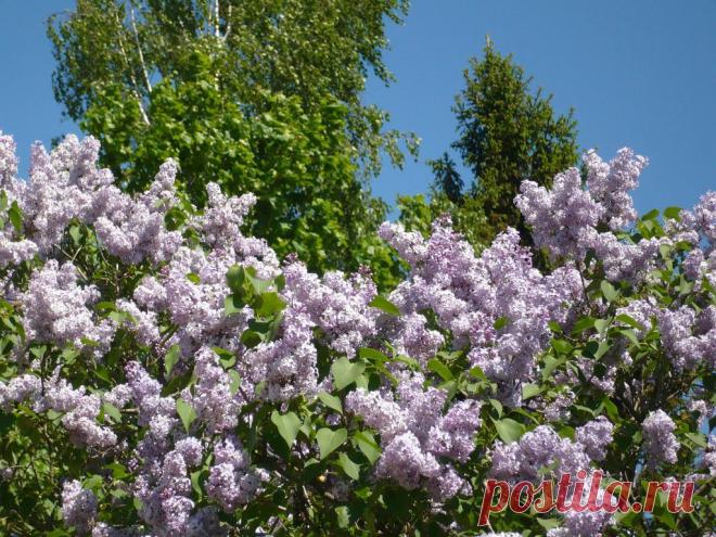 Сергей Кавецкий
60 лет, Россия, г. Лихославль