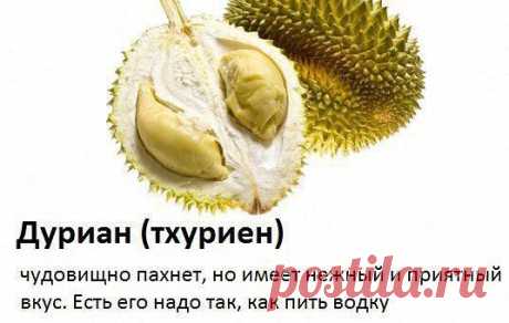 Приложение &quot;Открытки&quot;
Танюль Львенок Независимый