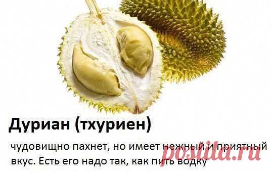 Приложение "Открытки"
Танюль Львенок Независимый