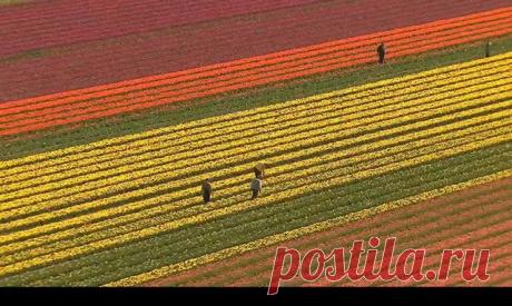 (2) ДОМ - фильм запрещенный к показу в 36 странах Мира - Свежие новости России и мира