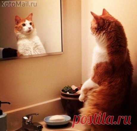 Кто здесь?!