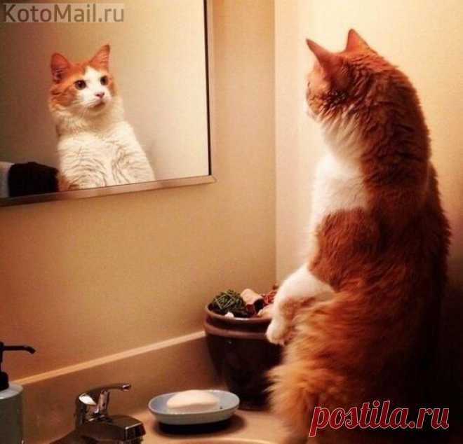 Кто здесь?!