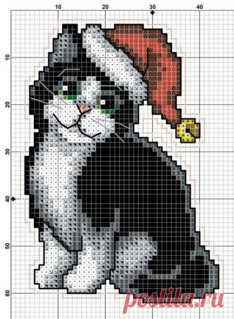 (13) Gallery.ru / Foto #52 - Gato x - wookiesgal