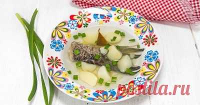 Щука - 56 рецептов приготовления пошагово - 1000.menu
