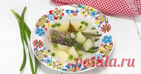 Щука - 56 рецептов приготовления пошагово - 1000.menu