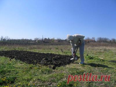 život na selu: PRIČE IZ BASTE: Moja baša – prvi neuspesi
