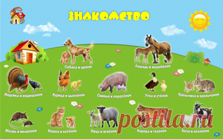 Картинки для детей про животных и их детенышей (38 фото) ⭐ Забавник