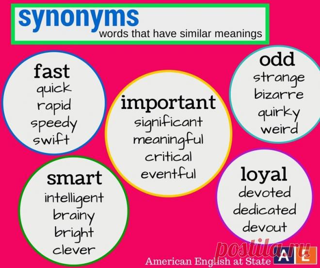 2313119042.jpg (807×677)