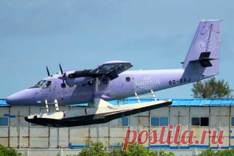 Фото MAV De Havilland Canada (8Q-RAJ) - FlightAware