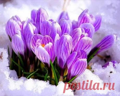 (1) Мой Мир@Mail.Ru