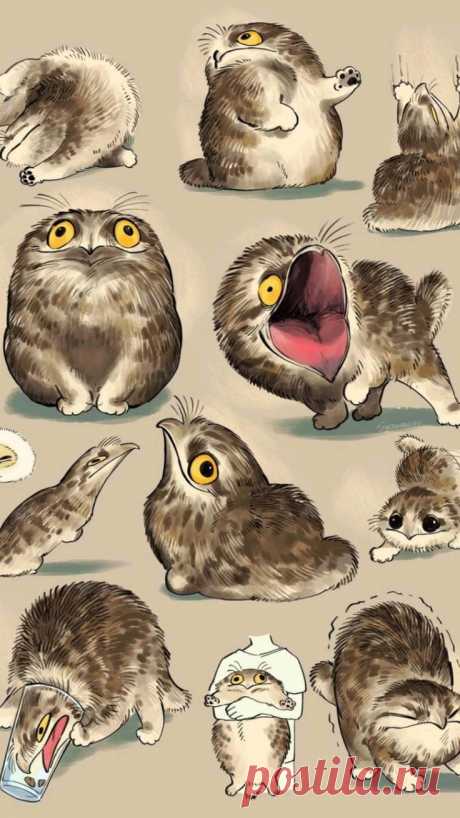 Рисунок Котоястреб.