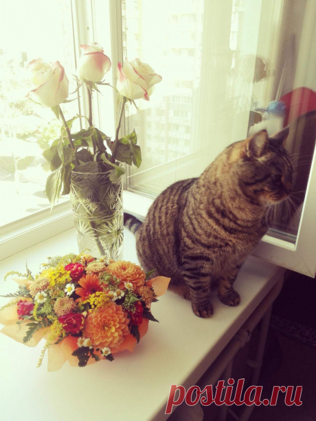 Макс в цветах