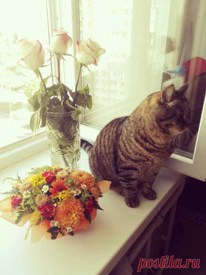 Макс в цветах