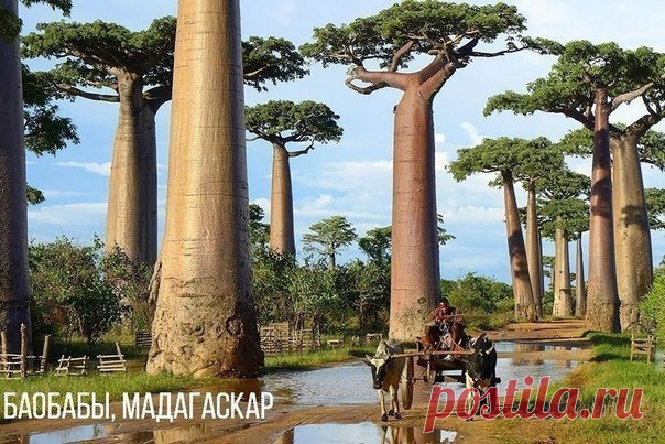 Мадагаскар