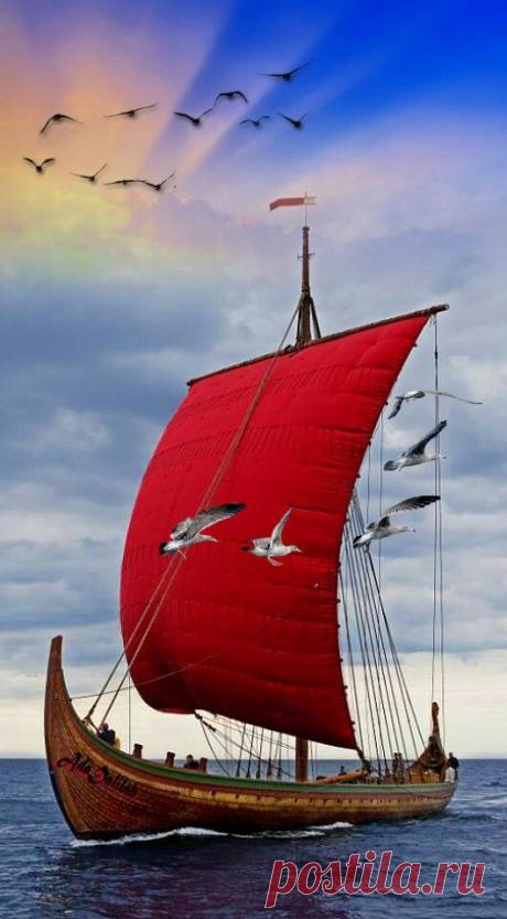 (48) Pinterest