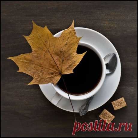 (10) Pinterest