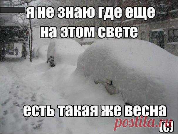 Прикольные картинки про погоду