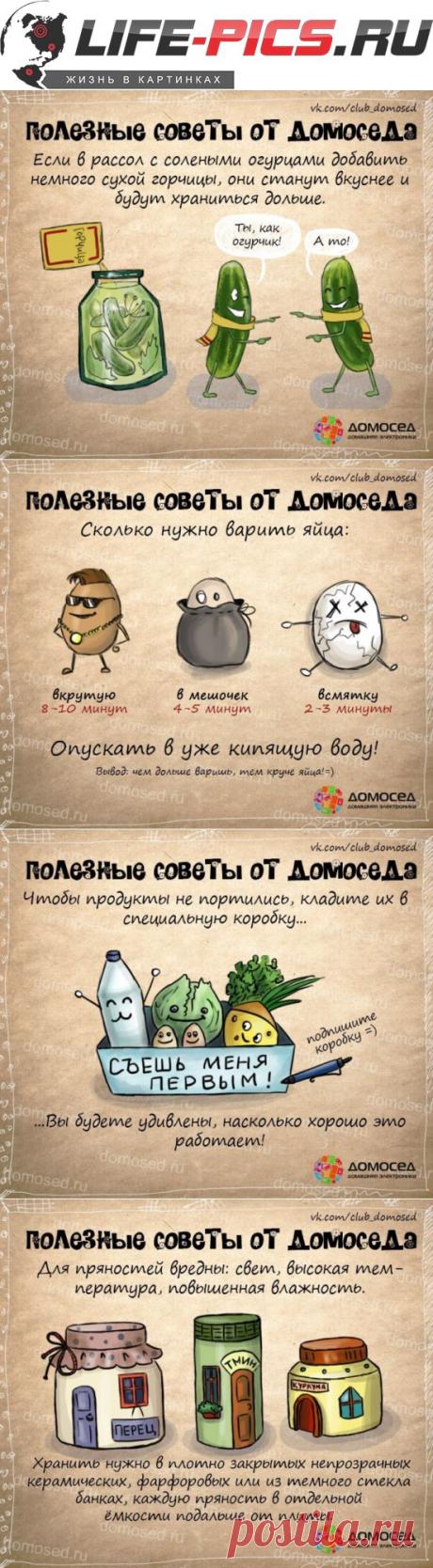 Полезные хозяйственные советы (часть 3)