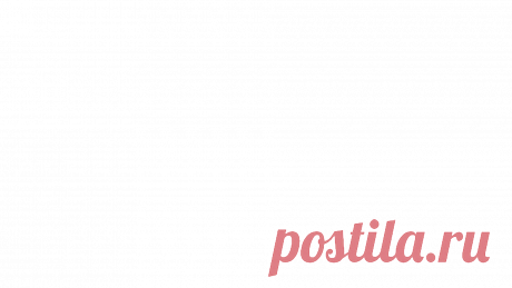Pets & Animals | Animal Land