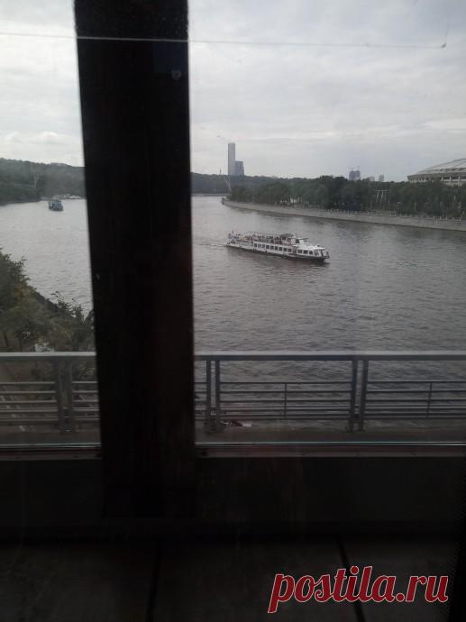 Моя новая питомица..