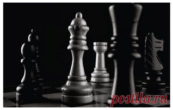 Ты развиваешься только тогда, когда играешь с более сильным соперником. / Основы бизнеса