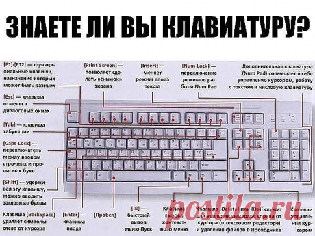 ЗНАЕТЕ ЛИ ВЫ КЛАВИАТУРУ НА СВОЁМ КОМПЬЮТЕРЕ?
F1— вызывает «справку» Windows или окно помощи активной программы. В Microsoft Word комбинация клавиш Shift+F1 показывает форматирование текста;
F2— переименовывает выделенный объект на рабочем столе или в окне проводника;
F3— открывает окно поиска файла или папки на рабочем столе и в проводнике. Комбинация клавиш Shift+F3 часто используется для поиска в обратном направлении;
F4— открывает выпадающий список, например, список стр...