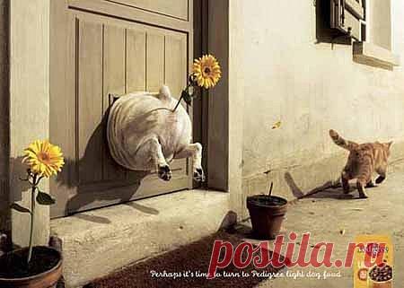 МУП Североморские Теплосети