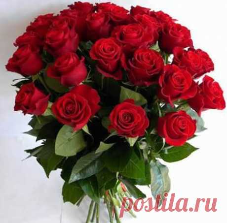 Мой Мир@Mail.Ru