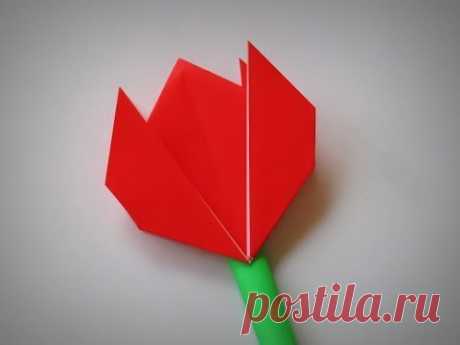 Origami - How to make a TULIP