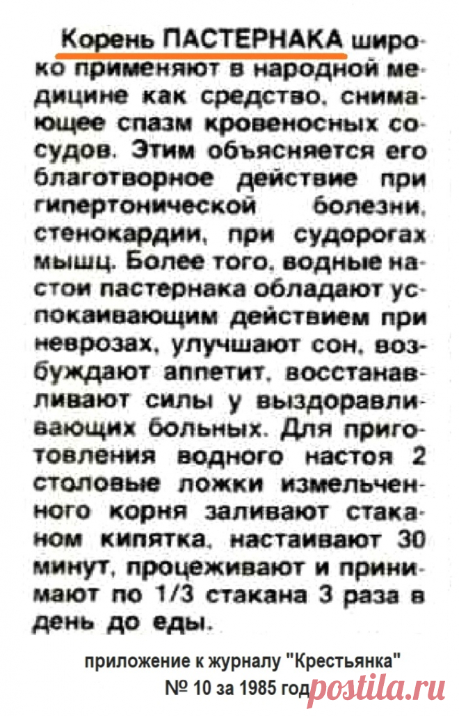Корень пастернака
