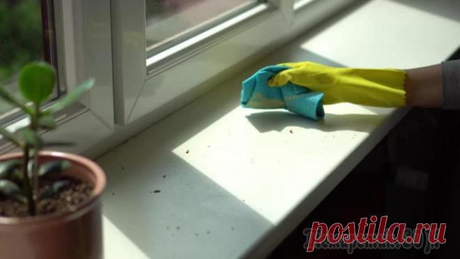 8 эффективных способов отмыть пластиковый подоконник и окна Когда наступает теплая весенняя пора, множество хозяек массово начинают затевать генеральную уборку. Когда дело доходит до мытья подоконников и окон, перед многими возникает вопрос, как и чем отмыть п...