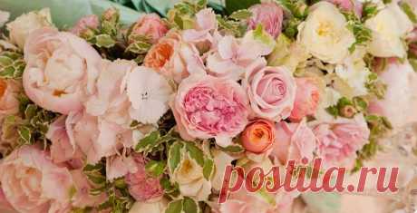 Поиск@Mail.Ru