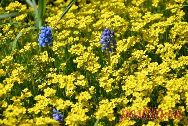 (19) Мой Мир@Mail.Ru