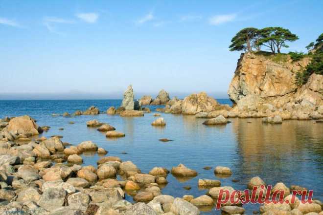 #Приморье 
Дальневосточный морской заповедник
Находится он в районе Японского моря, на южном его побережье, а западная часть раскинулась на берегу залива Петра Великого. Залив неглубокий, но большой.