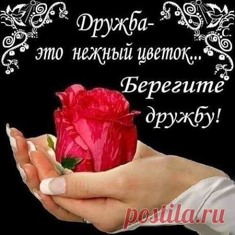Плейкаст «С Днём Друзей»