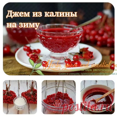 Джем из калины на зиму - вкусный пошаговый рецепт приготовления с фото