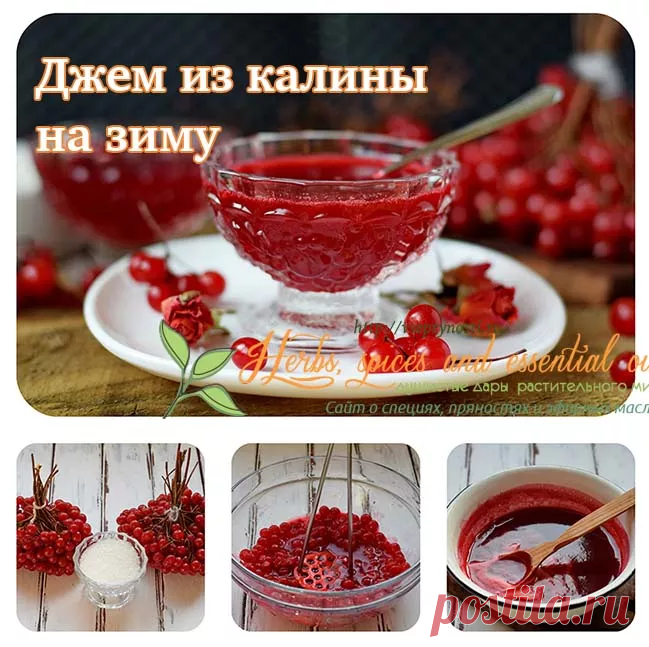 Джем из калины на зиму - вкусный пошаговый рецепт приготовления с фото