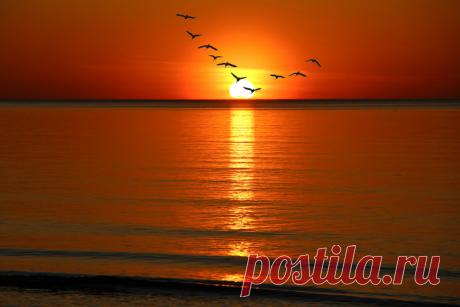 Закат в Тойла, где писал стихи И. Северянин. :: Marina Pavlova – Социальная сеть ФотоКто Фото сделано 11. 05. 2021, в день трагедии.