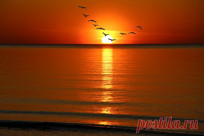 Закат в Тойла, где писал стихи И. Северянин. :: Marina Pavlova – Социальная сеть ФотоКто Фото сделано 11. 05. 2021, в день трагедии.