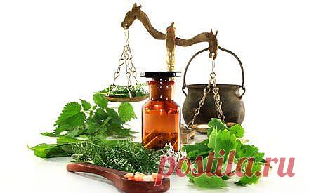 Очень эффективное народное лекарственное средство - настойка из муравьев..