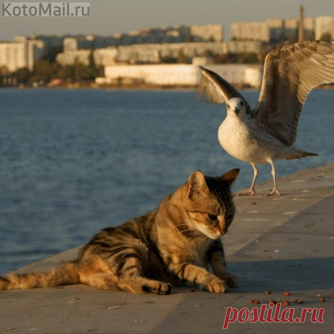 И кто кого перехитрит?