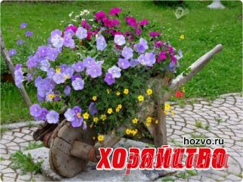 Тачка-цветник из деревянного ящика