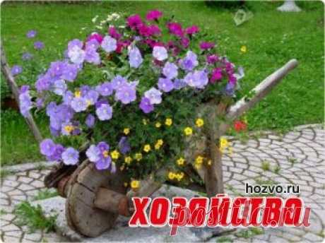 Тачка-цветник из деревянного ящика